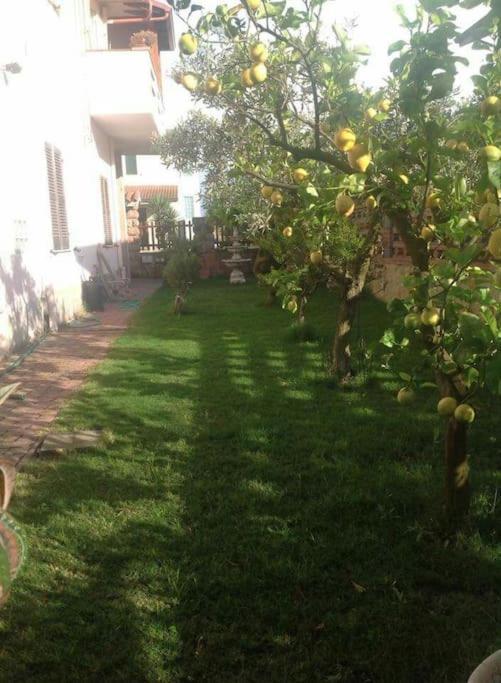 Su Suergiu Vila San Giovanni Suèrgiu Exterior foto
